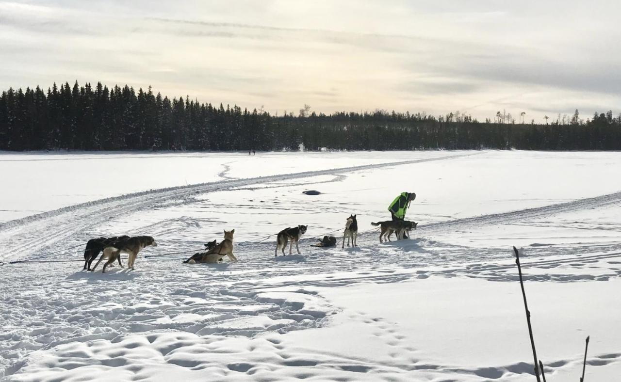 Symaskinshuset Jaervsoe Bagian luar foto